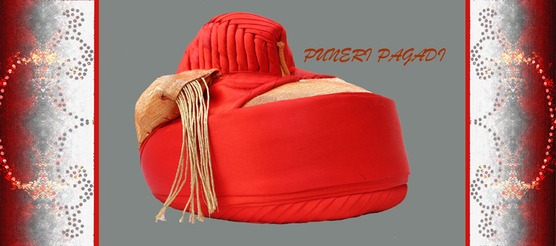 8587151 puneri pagdi