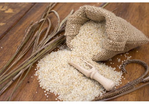 Barnyard_Millet_DSC5318-500x350 barnyard millet