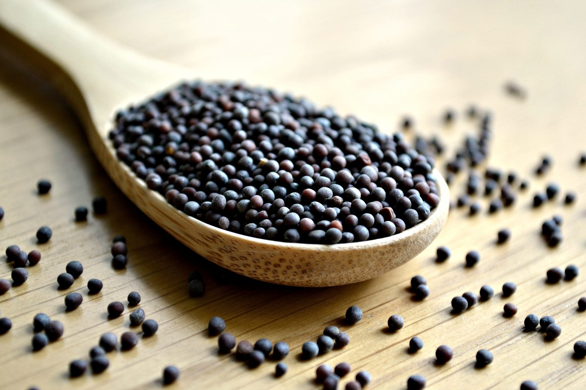 Mustard-Seeds-2.1
