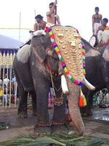 Macrame Wall Hanging