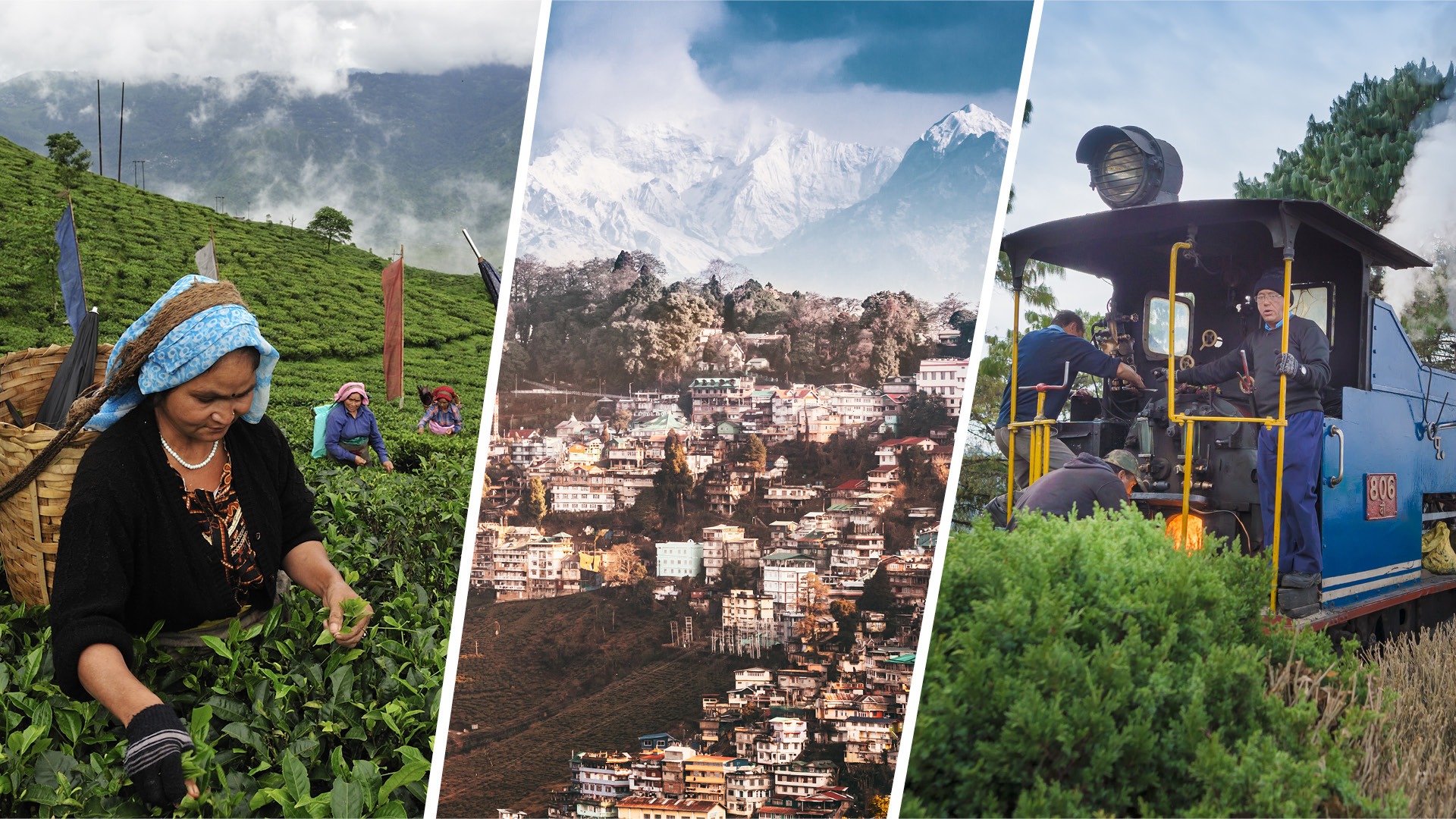 Winters-in-Darjeeling-Feature darjeeling