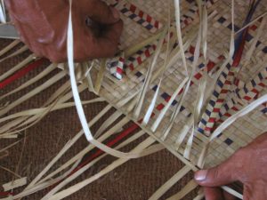 Valley Of Flowers Indian paradise