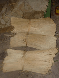 Blushnkiss Blushnkiss - DSC_0201