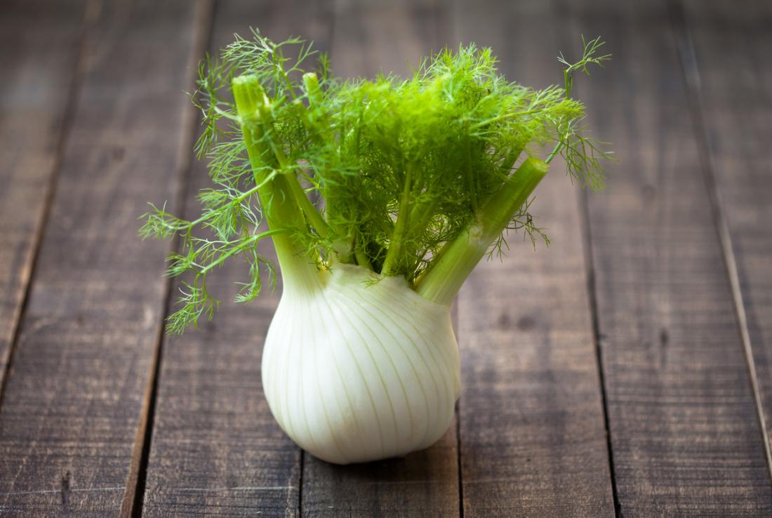 fennel Fennel