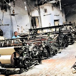 The root bridges of Cherrapunji