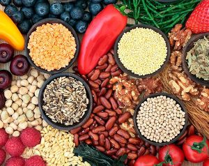 MEGHALAYA ROOT BRIDGES