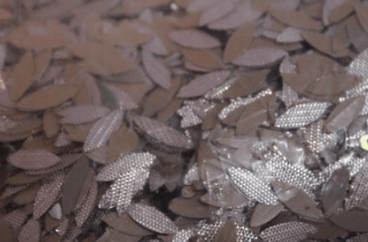 Sour Milk, Cream And Honey ey 5